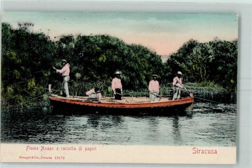 Siracusa Fiume Anapo e raccolta di papiri Ruderboot