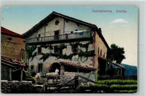 Elizondo Jauregizarea Irurita Rindvieh