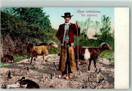 Tipos andaluces un cabreo Hirte Ziege Volkstypen Photochromie Purger & Co 3186 AK