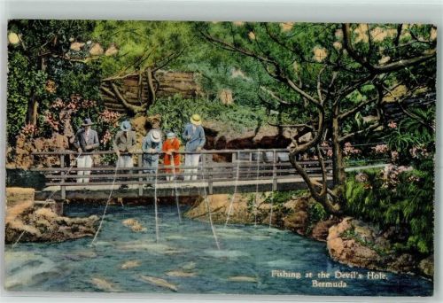 Bermuda Fishing at the Devil`s Hole