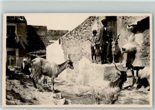 Agrigento Ziegen