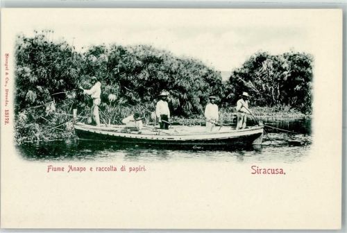 Siracusa Fiume Anapo e raccolta di papiri Ruderboot
