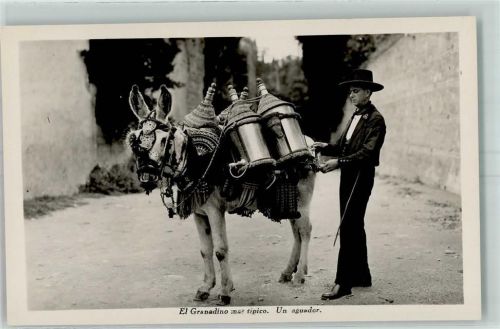 el Granadino mas tipico un aguader Tracht Wasserlieferant