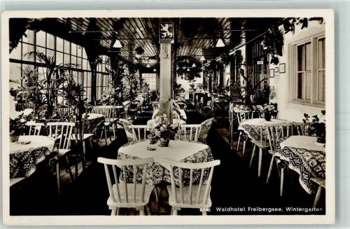 87561 W8980 Freibergsee - Innenansicht Wintergarten Hotel Wilhelm Jens