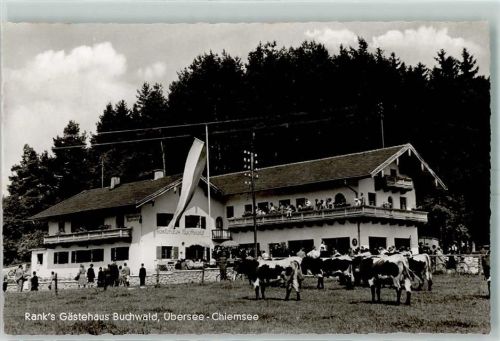 Übersee Pension Buchwald Rank