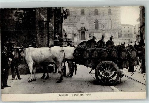 06100 Perugia - Carro con buoi Viehwagen Fässer