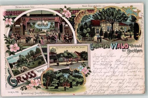 26345 W2935 Bockhorn , Jadebusen 1901 Lithographie Gasthaus Grünen Wald Janssen Bühne Grossherzogl. Jagdhütte im Urwald