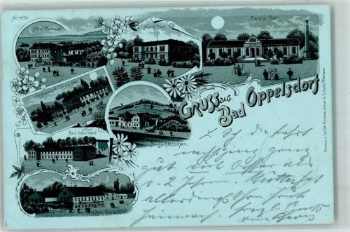 Bad Oppelsdorf 1899 Hotel Kurhaus Albert Bad Carola Bad Gasthaus Bergschlösschen Mond Blumen