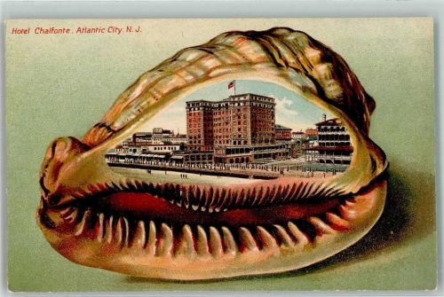 New Jersey Hotel Chalfonte Atlantic City Muschel Lithographie Passepartout