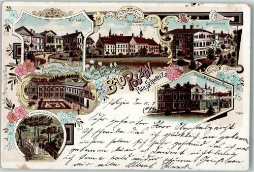 Bad Polzin 1899 Marienbad Bethanien Krankenhaus Johannisbad Friedrich Wilhelm Bad Stadtwald Blumen