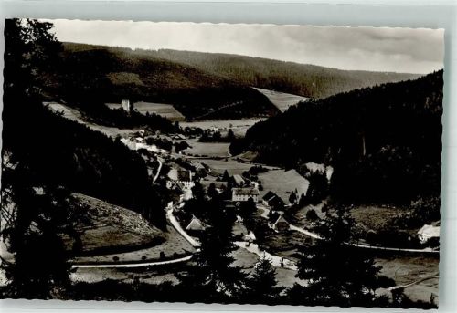 78166 W7710 Hammereisenbach Foto AK Gasthaus z. Hammer