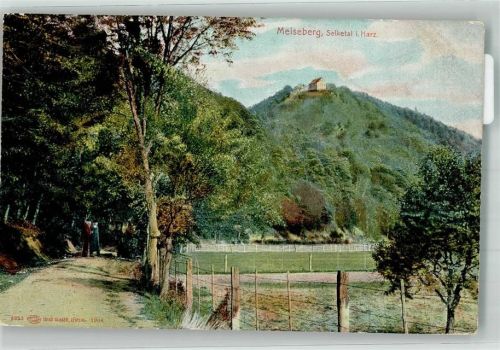 06493 O4303 Ballenstedt - Selketal Meiseberg