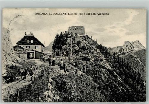 93167 W8411 Falkenstein , Oberpf Foto AK Hotel Falkenstein Burg Esel