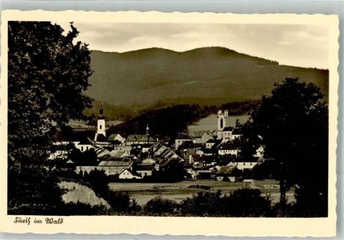Furth im Wald Panorama des Ortes mit Stadtpfarrkirche Mariä Himmelfahrt