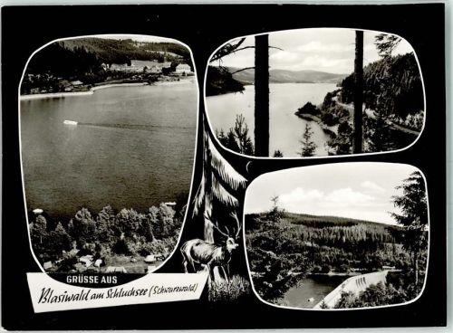 Blasiwald