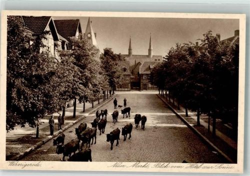 37345 O5601 Werningerode - Neuer Markt Blick v. Hotel z. Sonne Kühe