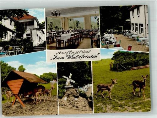 48329 W4409 Havixbeck Foto AK Gasthaus Zum Waldfrieden Miniaturwindmühle Rehwild