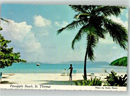Saint Thomas 1975 Pineapple Beach