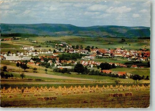 Oberviechtach Panorama des Ortes Fotograf Löwenhag