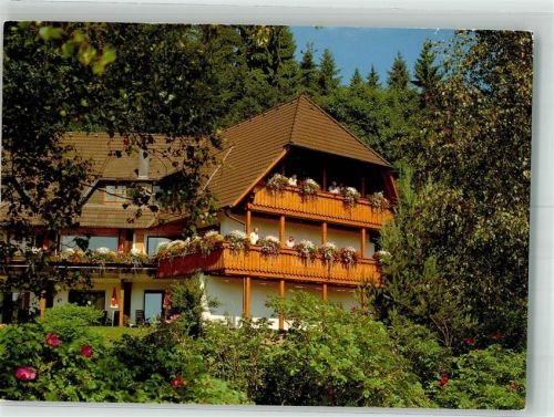 78730 W7233 Lauterbach , Schwarzw 1994 Foto AK Pension Käppelehof