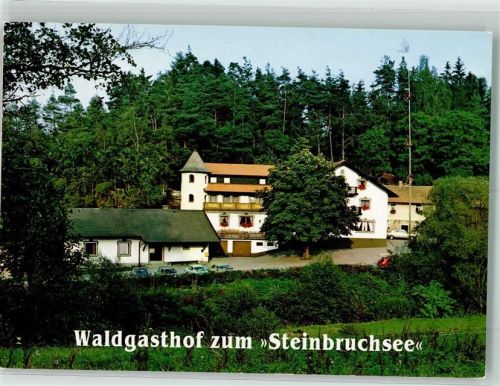 Furth im Wald 1988 Gasthaus Pension Steinbruchsee