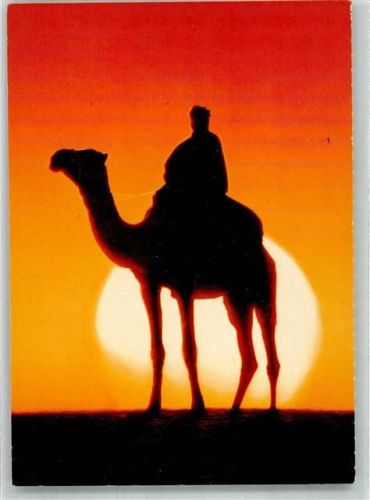 Camel mild