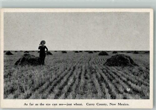 Riesige Felder im Curry County New Mexico