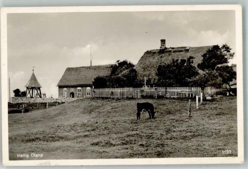 25863 W2251 Oland , Hallig Foto AK Halligwarft Verlag Rubin