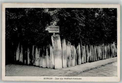 Borkum 1914 Walfisch Kinnladen a. d. Zeit d. Grönlandfahrten