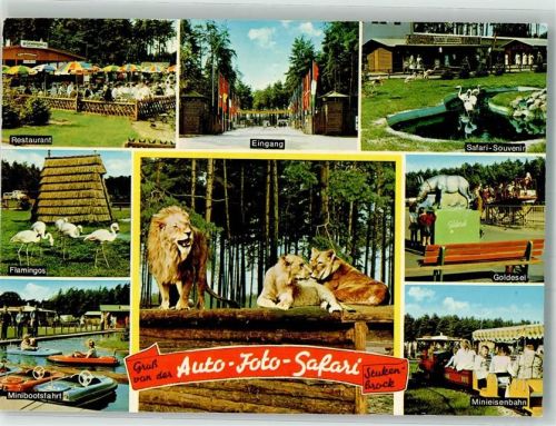 Stukenbrock Senne-Grosswild-Safari