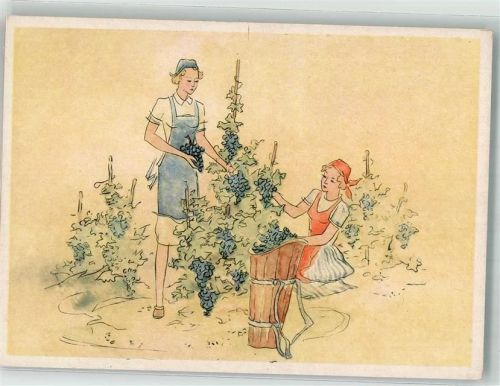 Zwei Winzerinnen bei der Weinlese Verlag Carl Warnecke Nr. 1166