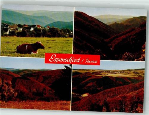 Espenschied Panorama des Ortes mit Wispertal
