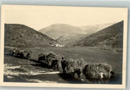 Heuernte
