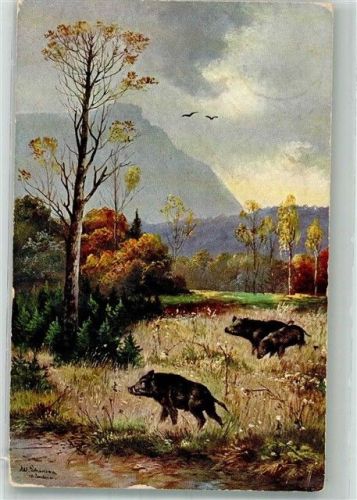 1908 Wildschweine in herbstlicher Landschaft T.S.N. Serie 731
