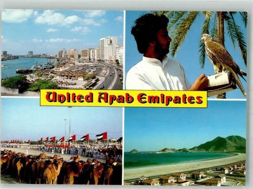 Dubai Kamele Sportplatz Greifvogel Hafen
