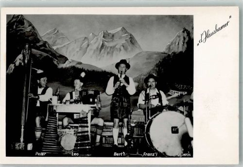 Musik Band d´Haushamer Harfe