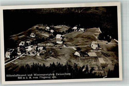 Zwieselberg Fliegeraufnahme Gasthof Gasthaus Auerhahn Waldesruhe Luisenruhe Pension Wintersportplatz 842 m