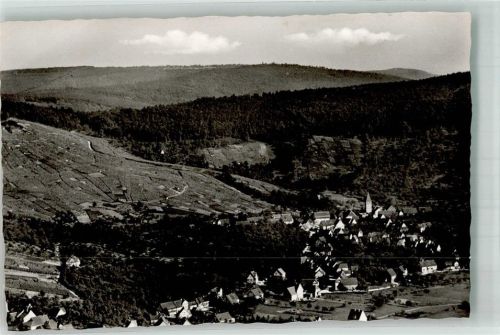 Korb SteinreinachFoto Original aus Archiv eines Ansichtskartenverlags Ort handschriftlich