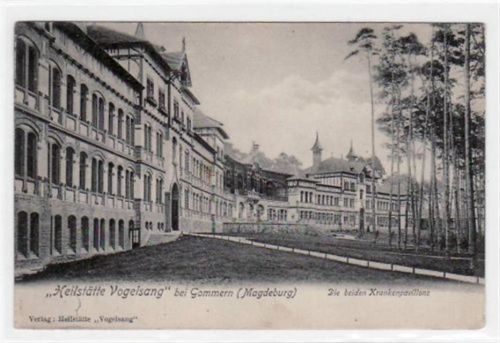 Heilstätte Vogelsang mit Krankenpavillons. Postalisch nicht befördert, frühe Karte, da Anschriftsseite noch ungeteilt. Gute Erhaltung.