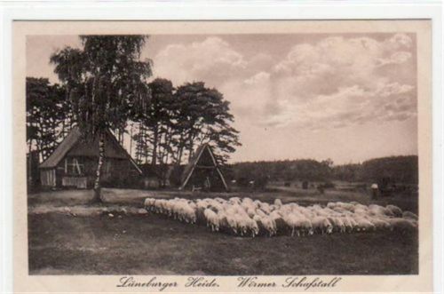 üneburger Heide mit Wörmer Schafstall und Schafherde ungelaufen Top Erhaltung.