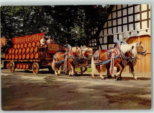 Herford Tiergespann Brauereiwagen Felsenkeller Bier AK