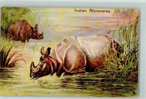 Indian Rhinozeros Raphael Tuck Serie 9154 AK Nashorn 1907 Künstlerkarte