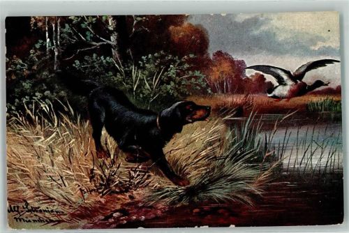 Jagdhund Federwild AK