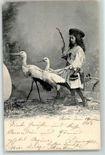 sign. M. Andreossi Störche Serie 27 Nr. 2 Verlag Clement Tournier Geneve AK Fotomontage 1903