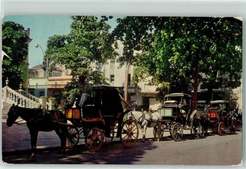 Yucatan Mackney Coach in the Park Cepeda Peraza
