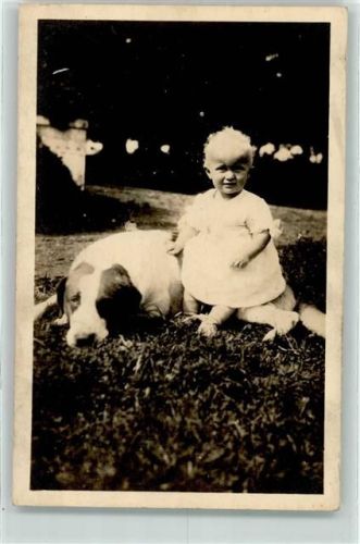 Drentse Patrijeshond Kind Großer Hund Privatfoto AK