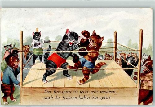Katzen vermenschlicht WB SS Nr.8544-1