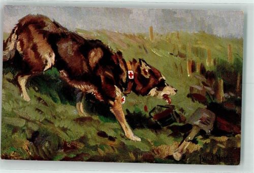 Schäferhund sign. J. W. v.d. Heide