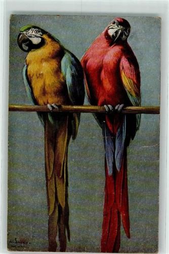 sign. Schönian, Alf. - Tucks Postkarte Pretty Polly Nr. 3535 AK