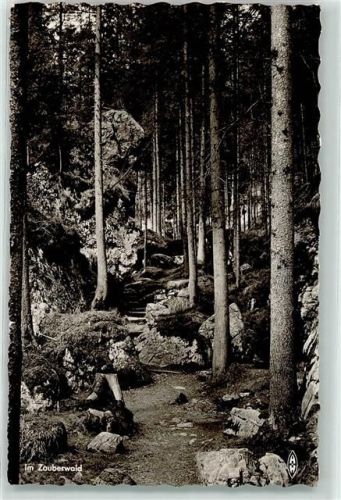 Hintersee Zauberwald
